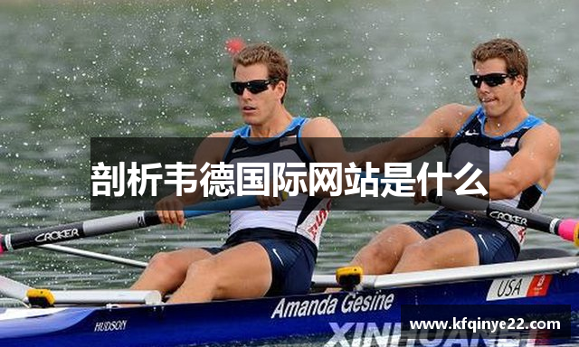 剖析韦德国际网站是什么